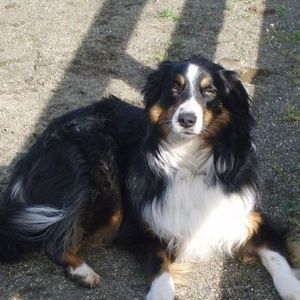 Meet your Posher, Carrie